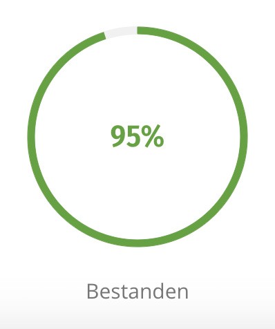 Grafik 95 Prozent bestanden